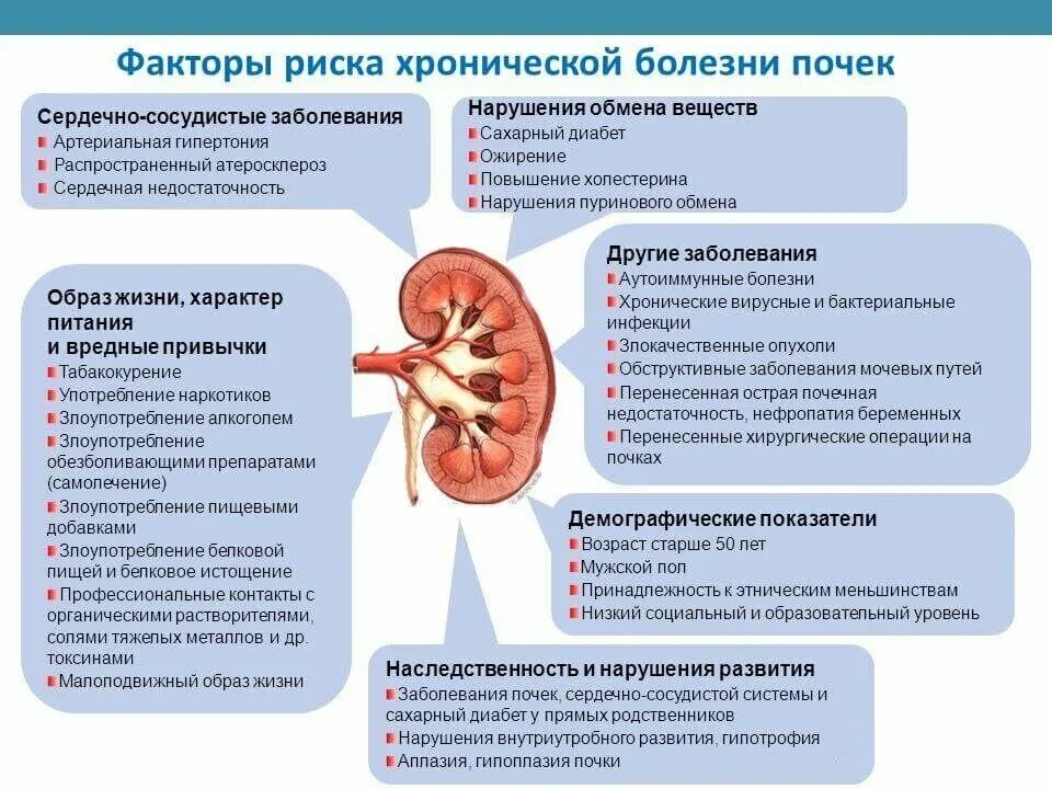 Почка влияет на печень. Хронический пиелонефрит факторы риска развития заболевания. Хроническая болезнь почек факторы риска. Факторы риска почечной недостаточности. Факторы риска возникновения пиелонефрита.