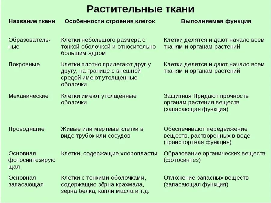 Свойства растительных тканей