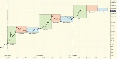 Сложность сети после халвинга