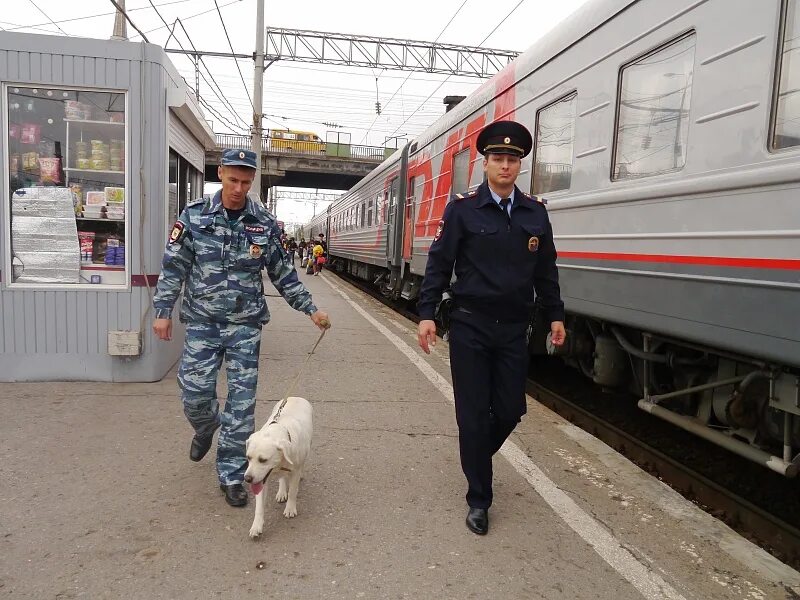 Транспортная полиция. Полиция на транспорте. ППС транспортной полиции. Железнодорожная полиция. Телефоны транспортной полиции