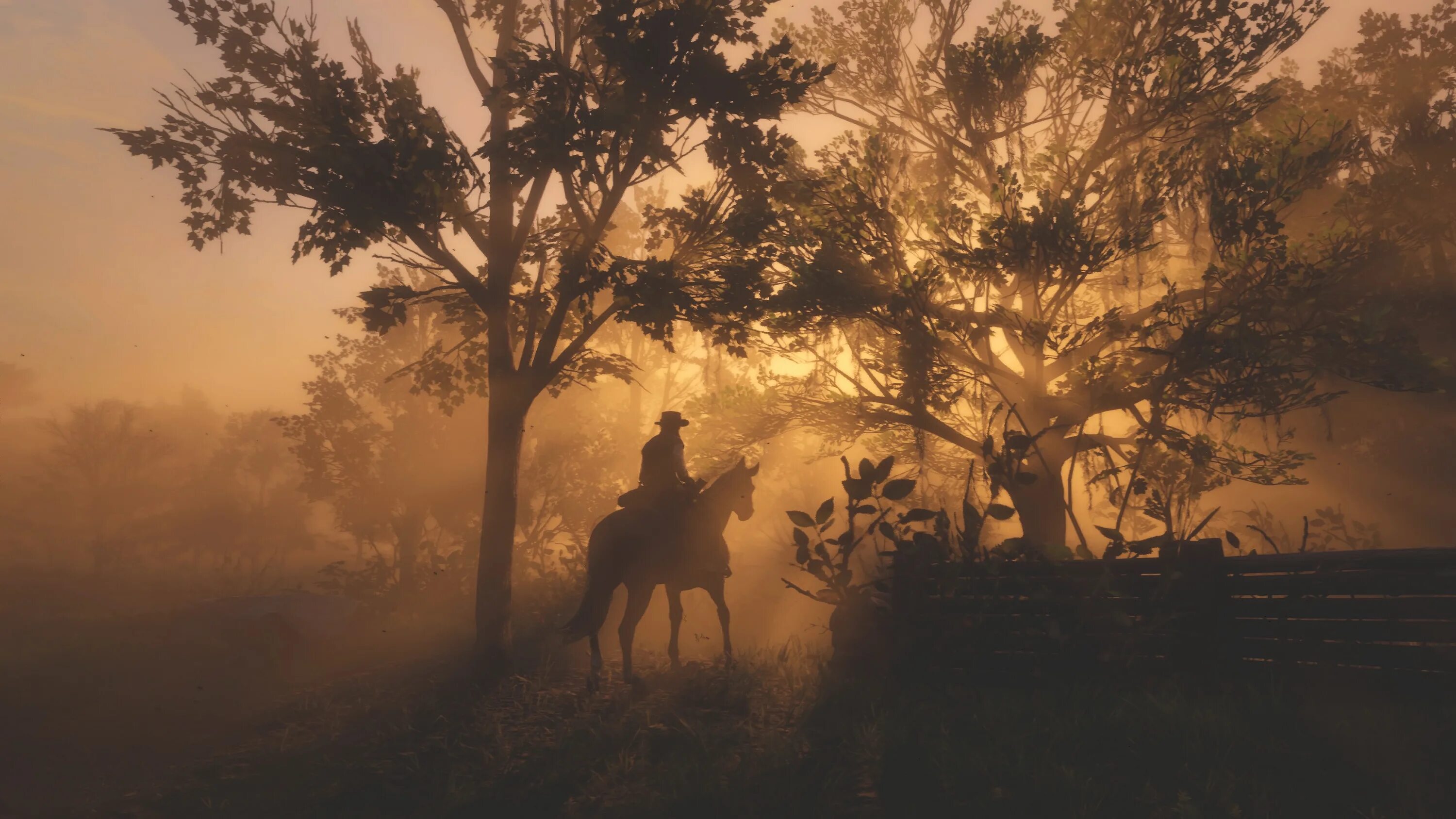 Rdr 2 euphoria