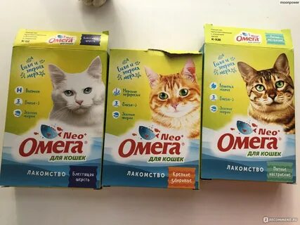 Нео кошка