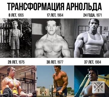 Программа арнольда шварценеггера на массу
