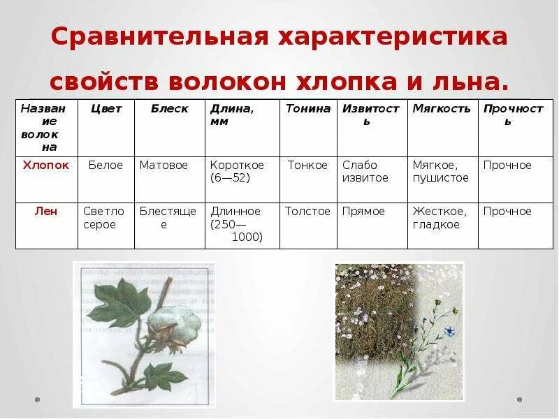 Характеристика хлопковой ткани. Лен и хлопок характеристика. Характеристика хлопчатобумажной ткани. Характеристика хлопка волокна. Хлопок главные страны