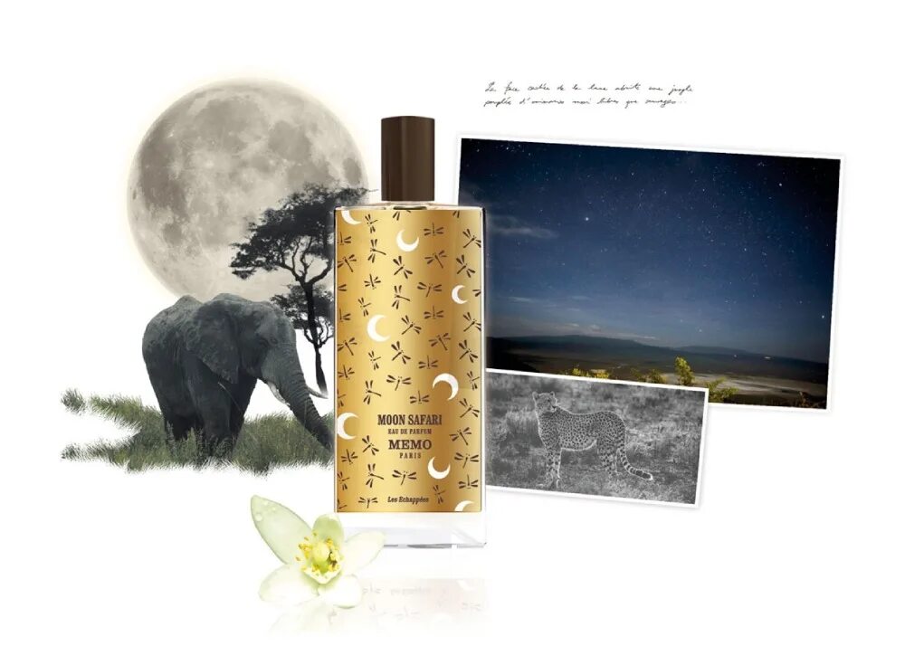Мемо фрагрантика. Memo moon safari. сафари мемо духи. memo moon leather. мужские духи moon.