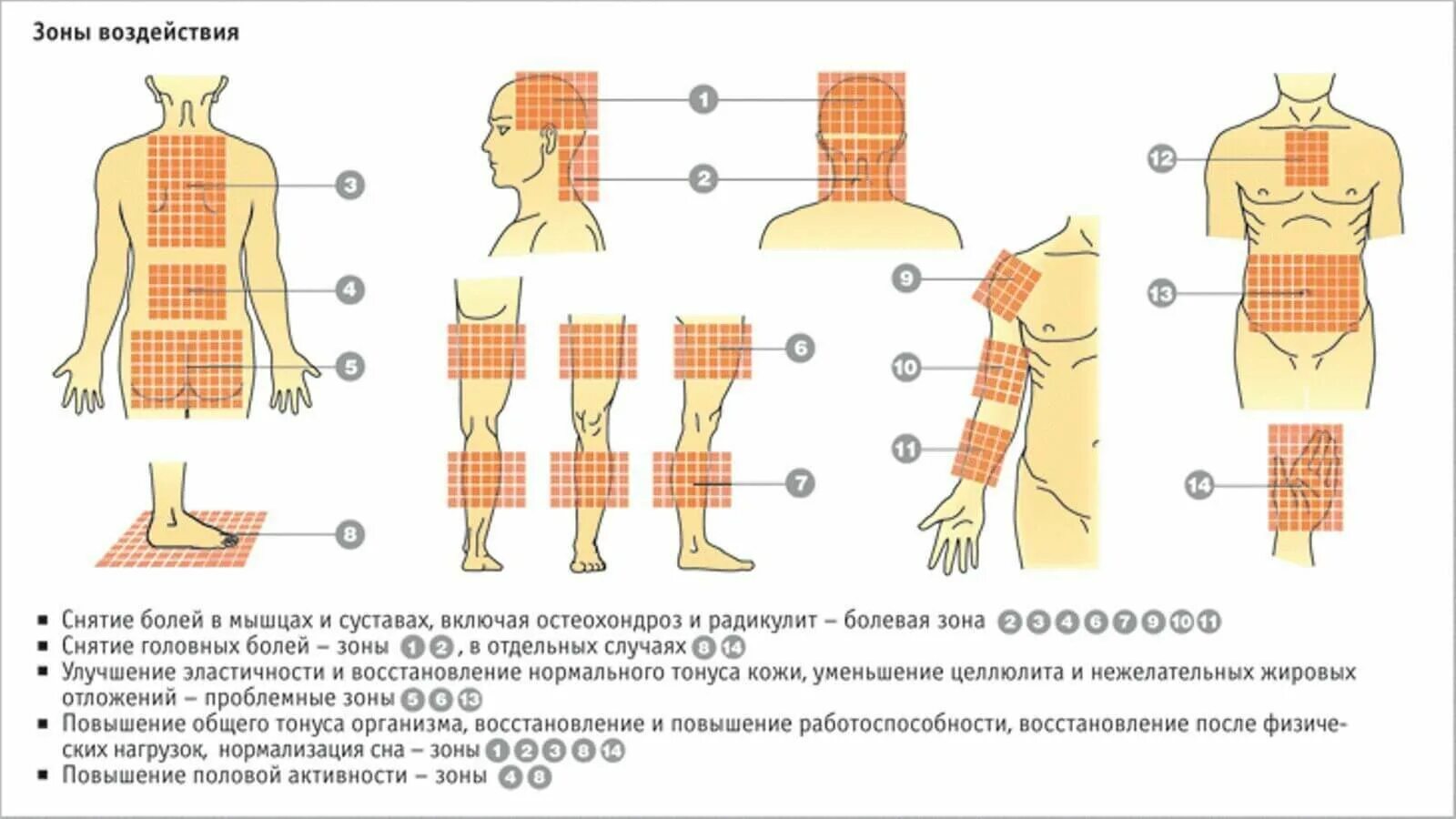 Аппликатор Кузнецова зоны воздействия органы. Аппликатор Кузнецова зоны воздействия. Аппликатор Кузнецова при Хон. Игольчатый аппликатор Кузнецова зоны. Аппликатор при болях в пояснице