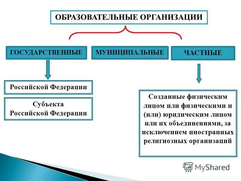 Государственная власть осуществляет тест