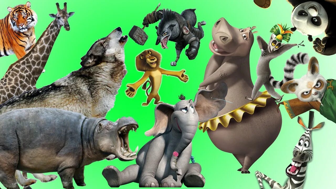 Kids box wild animals. DRULII TV животные. DRULII TV animals learn. Wild animals cartoon. DRULII TV Farm animals.