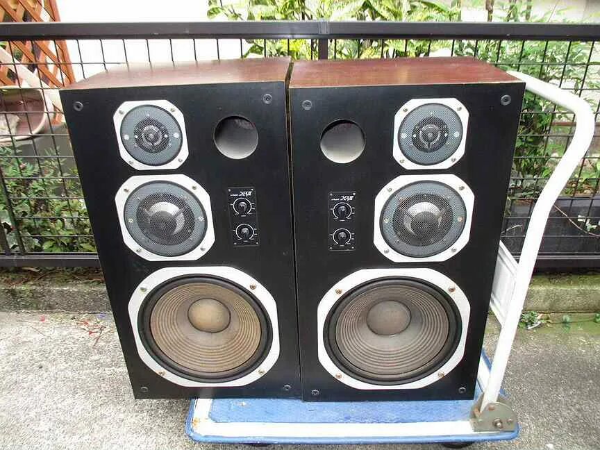 Акустика coral x-viii. Coral x7 акустика. Coral x vii. Coral x vii. Акустика coral x-vii характеристики.