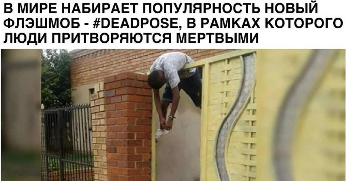 Набирает популярность движение. Человек притворяется. человек притворяется стеной. популярность юмор. люди которые притворяются.