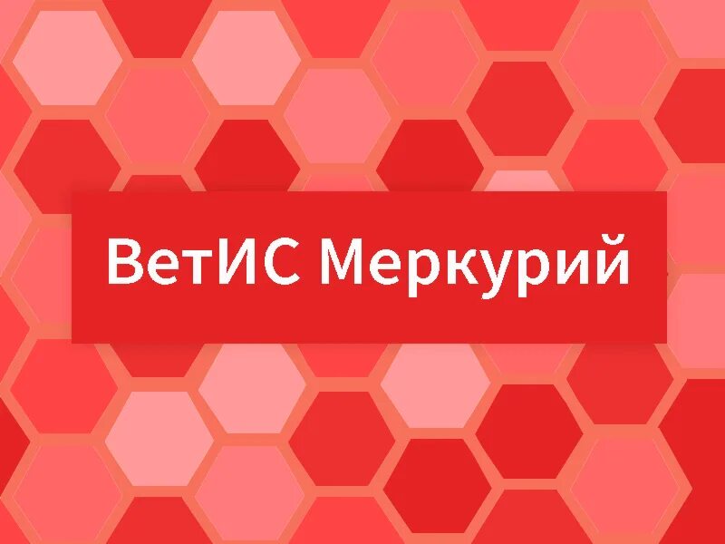 Ветис хорриот вход. Ветис Меркурий. Ветис Меркурий Россельхознадзор. Система Ветис. Ветис Меркурий кабинет.