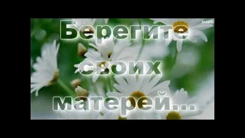 Песни мама я живой не переживай