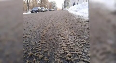 Грязь круг