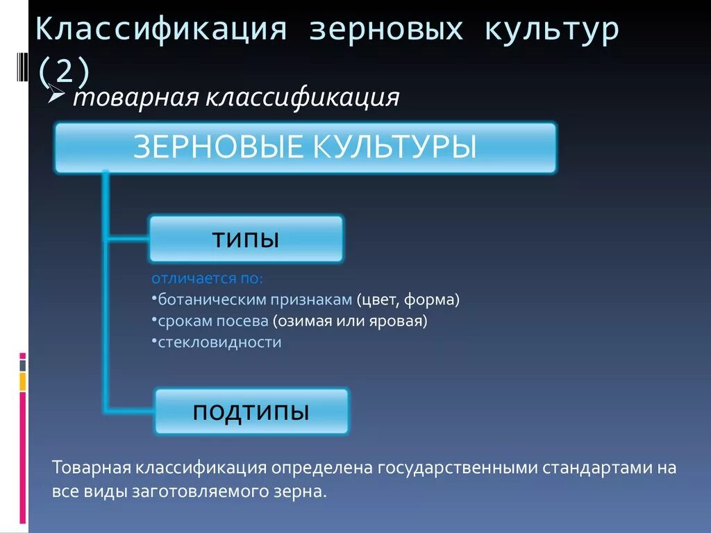 Какие классификации пшеницы вы знаете. Классификация зерновых культур. Классификация зерна. Зерновые культуры классификация. Классификация злаковых культур.