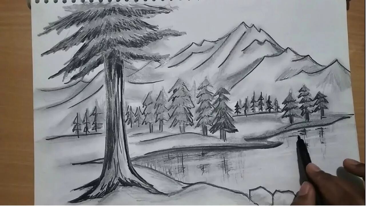 Эскизы природы. Лес карандашом. Горы и деревья рисунок. Деревья карандашом в далеке. Деревья вдали рисунок