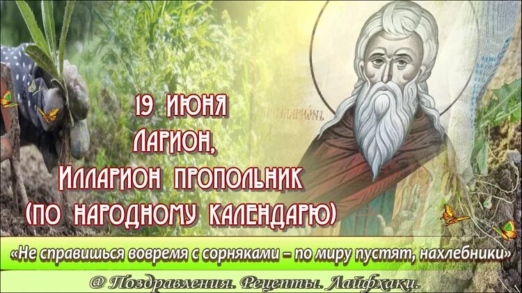 День 19 июля праздник. Иов горошник народный календарь. 19 июля праздник. Какой завтра праздник 19 июня. Иов горошник 19.