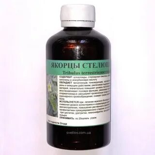 Экстракт якорцев стелющихся