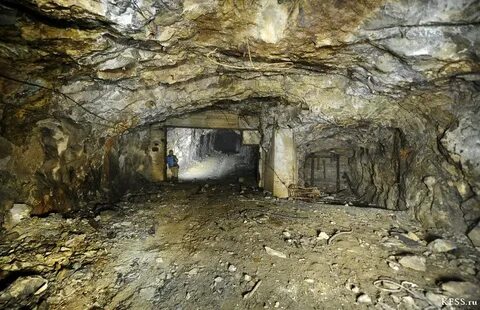 Шахта в приморье последние новости