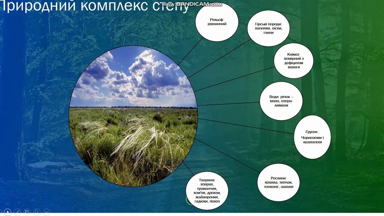 Природный комплекс 6 класс география. Самый большой природный комплекс земли. Самый малый природный комплекс на земле.. География оболочка и ландшафт. Чем меньше природный комплекс тем он