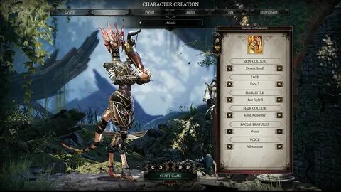 Divinity original sin 2 билд некроманта