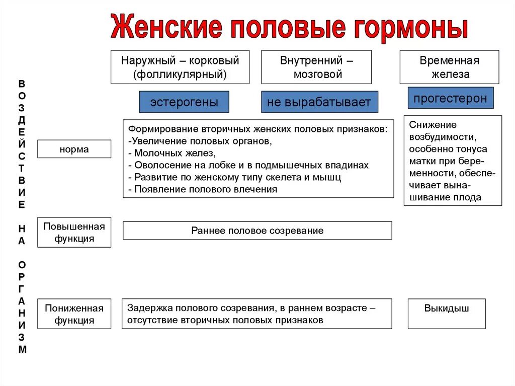 Гормоны женских органов. Гормоны половых желез и их функции. Женские половые железы гормоны и функции. Функции женских половых гормонов. Влияние половых гормонов на организм.