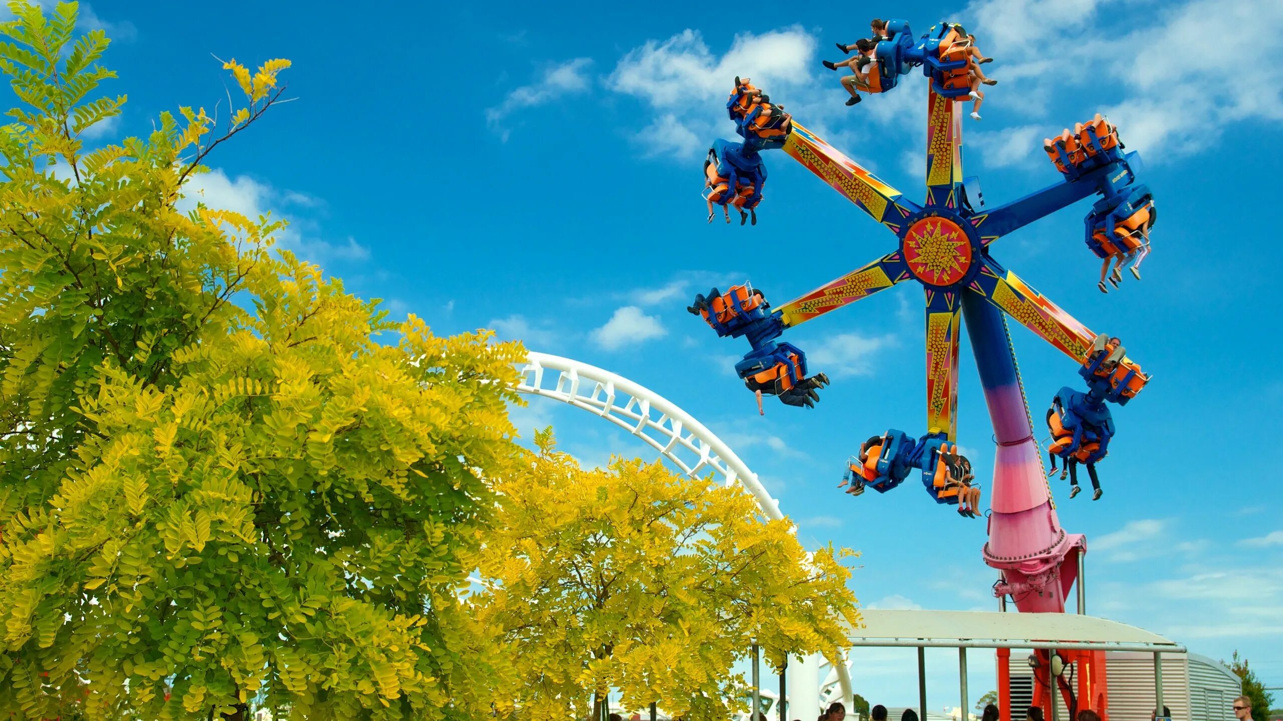 Ель канадская (сорт 'rainbow`s end. Кафе в парке радуга сайт. Рейнбоуз энд ель канадская. Ель сизая (picea glauca rainbows end). Ель сизая/канадская rainbow's end.