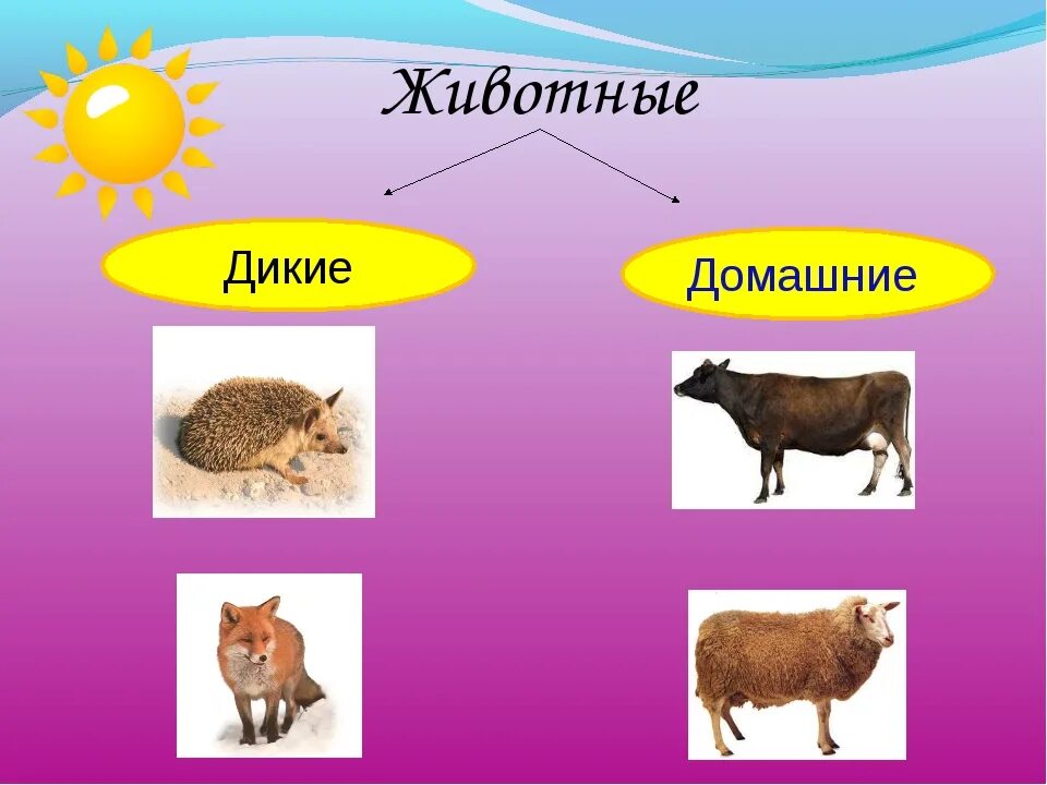 Окружающий мир первый класс как живут животные. Дикие и домашние животные. животные 1 класс. домашние животные окружающий мир. окружающий мир дикие и домашние животные.