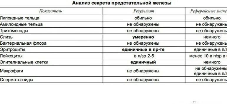 Секрет предстательной железы норма. Норма анализа секрета простаты у мужчин. Расшифровка секрета простаты