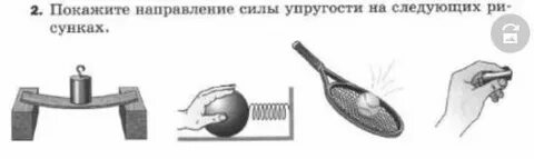 3 каково направление силы упругости