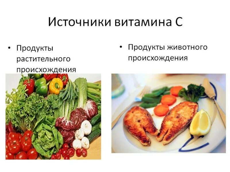 Витамины в продуктах растительного происхождения. Источники витамина с. Источники витамина с в продуктах. Витамины в продуктах животного происхождения. Витамин а в животных продуктах.