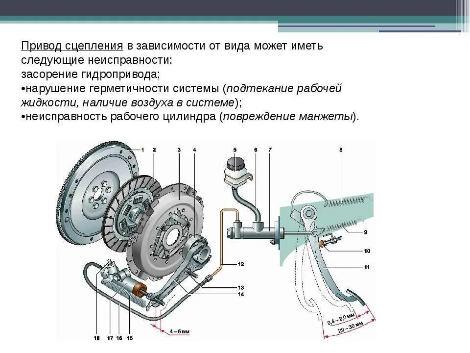 Сцепление схема и принцип работы. Принцип работы сцепления механической коробки. Схема сцепления автомобиля коробка передач. Принцип работы сцепления механической коробки передач.