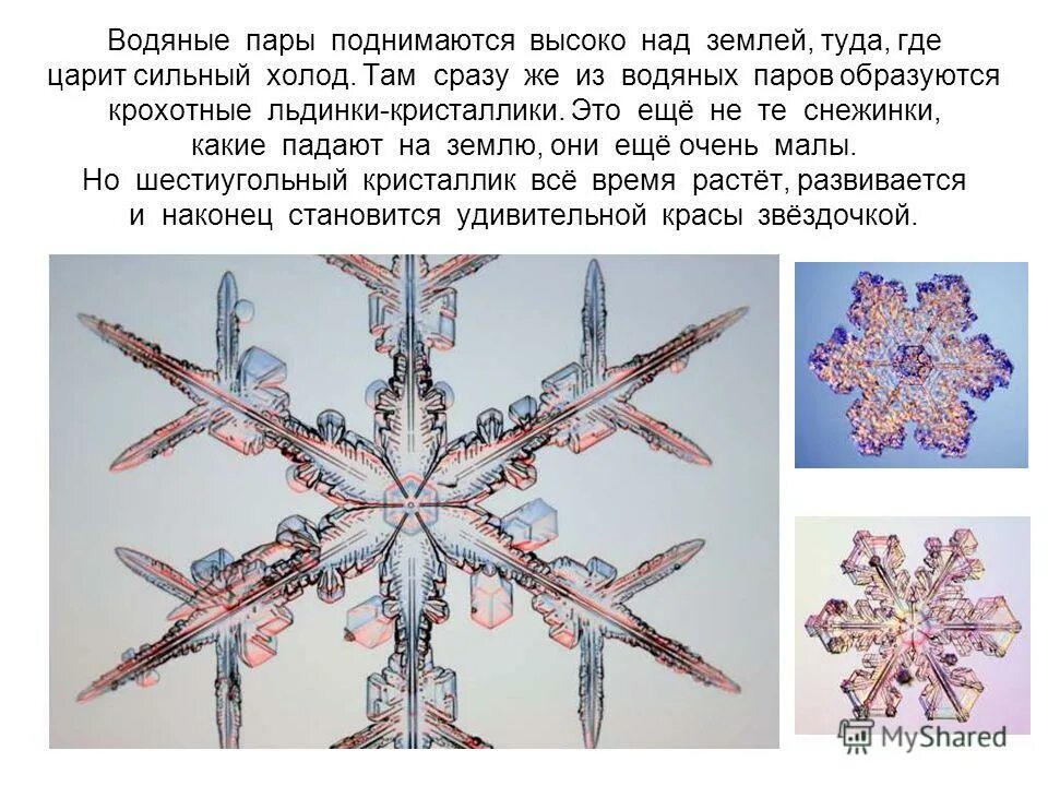 Контрольная работа какая сила вызывает падение снежинок которые. Как падают снежинки. Снежинки для презентации. Снег состоит из снежинок. Какая сила вызывает падение снежинок, которые образуются в облаках?.