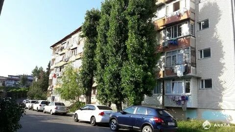 Пасечная улица 5