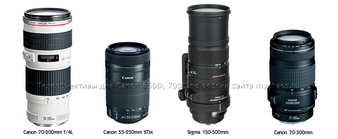 Canon 24mm f1. Canon ef 800 мм. Canon 800mm f 5. Canon ef 600mm f/4l. Canon ef 600mm f/4l is iii usm.