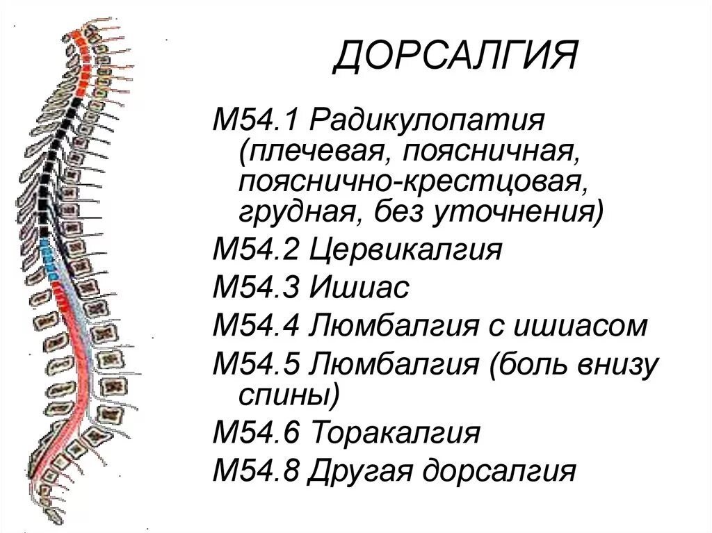 Другая дорсалгия. Дорсалгия. Дорсалгии позвоночника. Дорсалгия грудного отдела позвоночника. Дорсопатия шейного и грудного отдела.