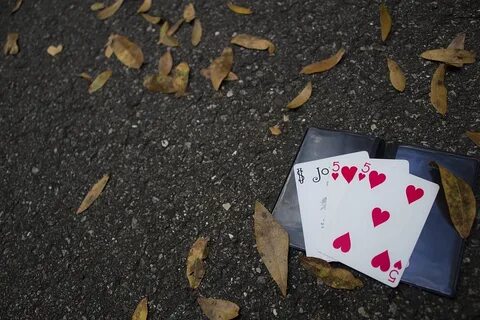 Leaves play