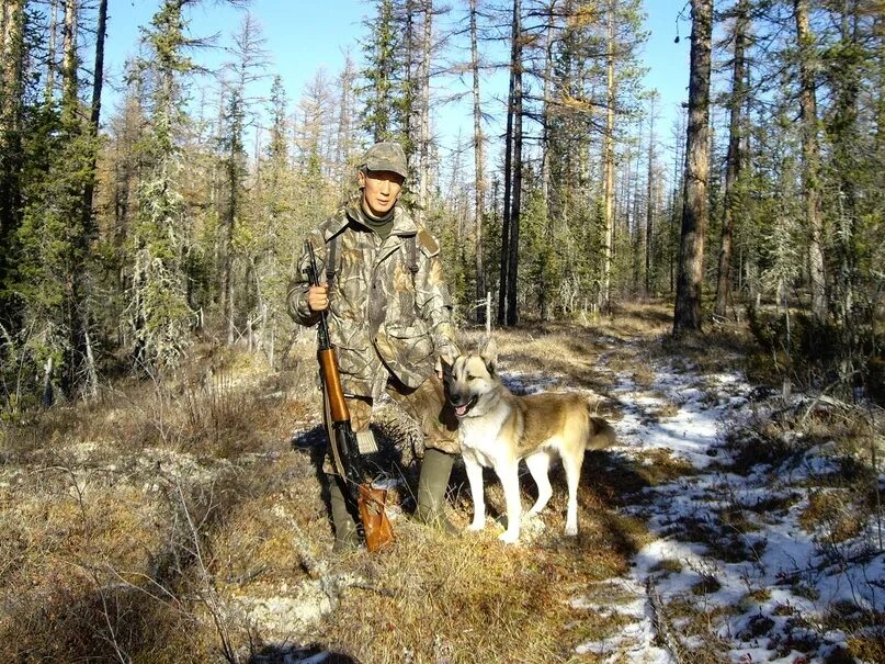 Сибирь тайга охотничий промысел. Охотник в тайге коми. 223 ремингтон охота на боровую дичь. Охота в тайге в2022222222222. Охота в тайге видео.