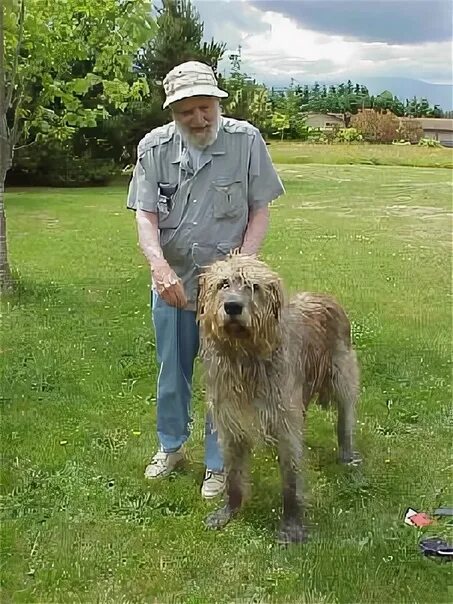 Гроувер крантц. Гровер Кранц и его собака. Антрополог гровер Кранц и его собака.