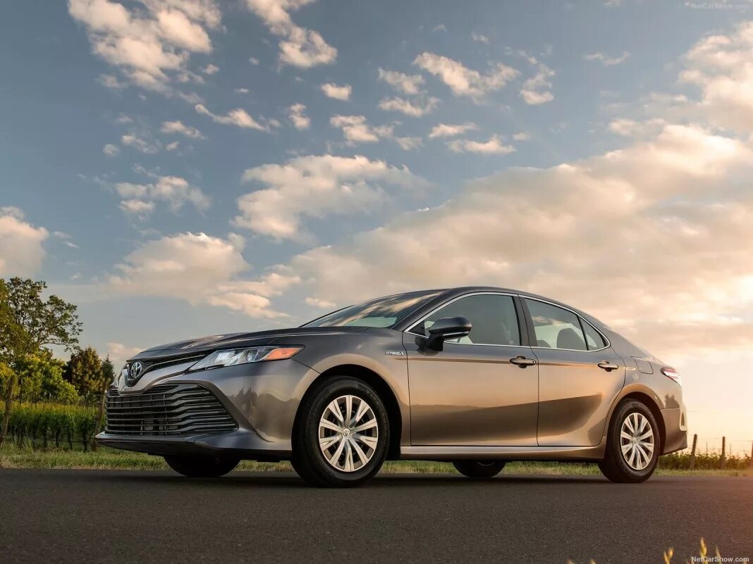 Toyota Camry Hybrid 2020. Тойота Камри гибрид 2020. Toyota Camry Hybrid 2018. Toyota Camry le.