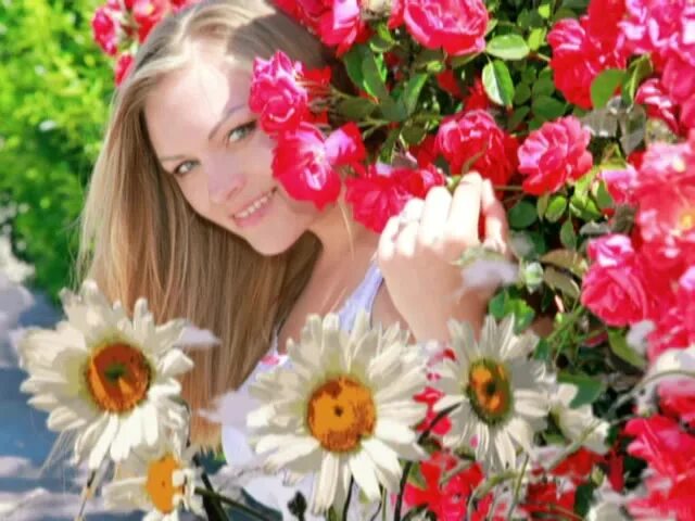 цветы ромашки розы. яркие цветы. лилии розы хризантемы. цветы ромашки розы. открытки с днём рождения женщине.