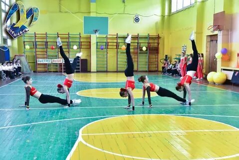 Сайт 31 мурманск
