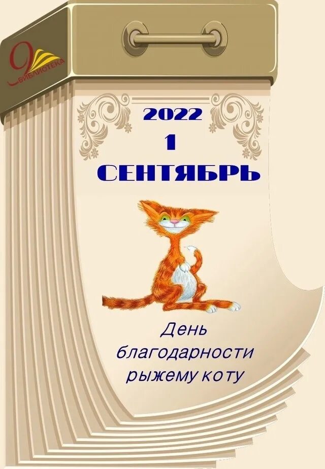 День благодарности рыжему коту картинки с надписями. День благодарности рыжему коту 1 сентября картинки. День благодарности рыжему коту картинки с надписями. Рыжий кот. Удачи котенок.