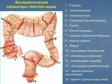 Зубчато восходящий