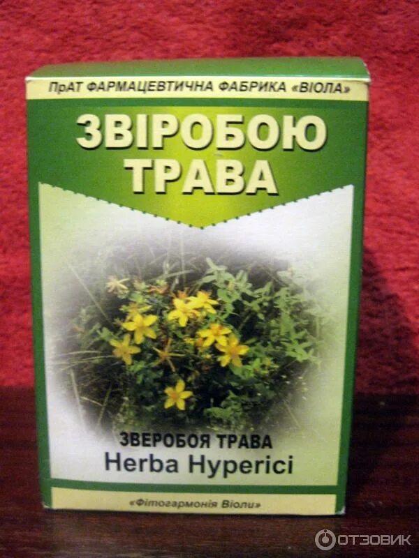 Зверобой трава фото. Зверобой трава этикетка. Трава зверобой успокаивающая?. Зверобой примочки. Заготавливаем зверобой