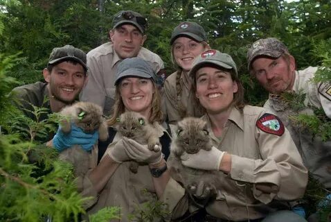 Wildlife services