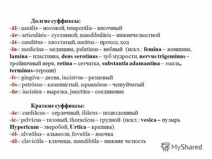 Краткие суффиксы в латинском