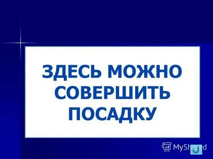 Здесь можно все