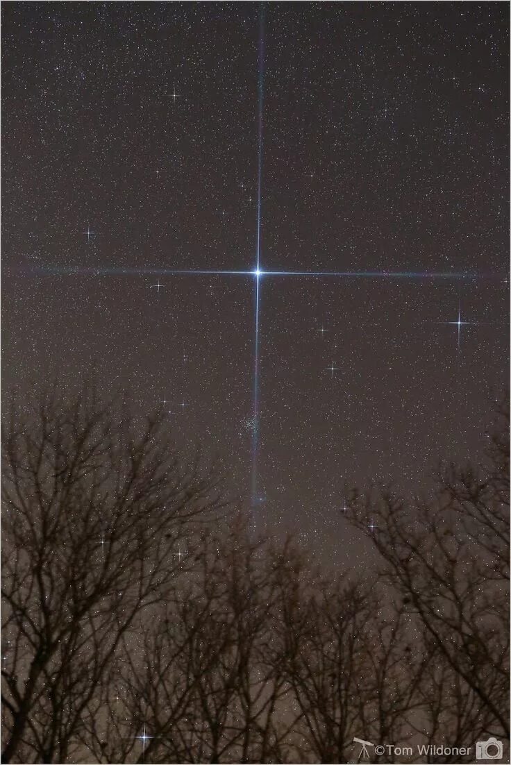 Какую звезду видно днем. Сириус звезда. Сириус звезда на небе. Сириус звезда в космосе. Яркая звезда Сириус.
