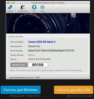 Camera shutter count