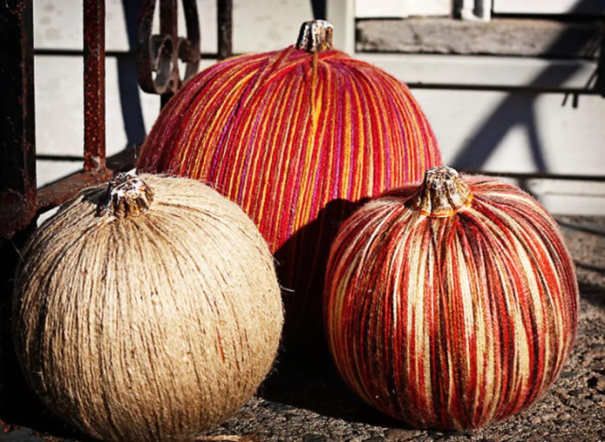 Украшения из тыквы. Тыква сушеная в электросушилке цукаты. Тыква цукаты в электросушилке. Тыква резаная. Как сушить тыкву.